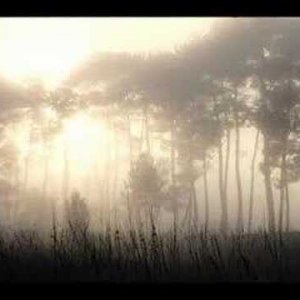 Loreena McKennitt - Ancient Pines