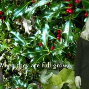 Loreena McKennitt- The Holly & The Ivy